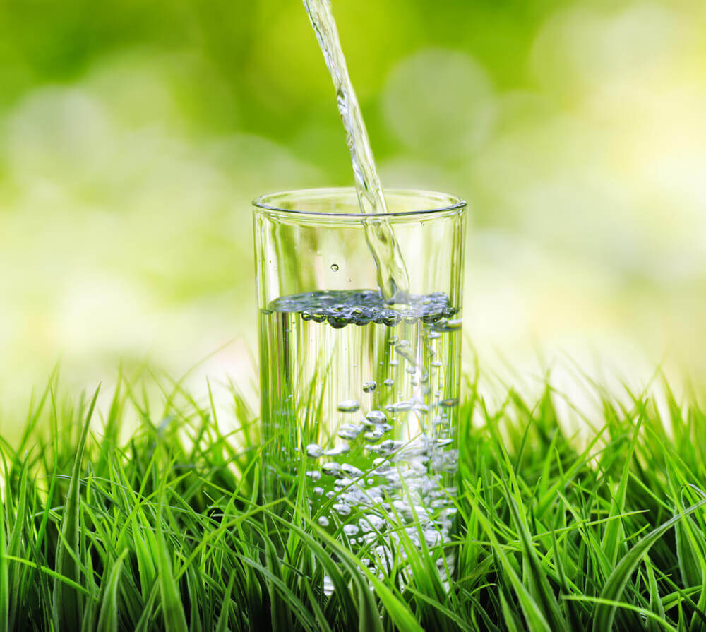 Wasser ist Leben 2 Ein Wasserglas steht auf einer Wiese, Wasser ist Leben, Nutrimen